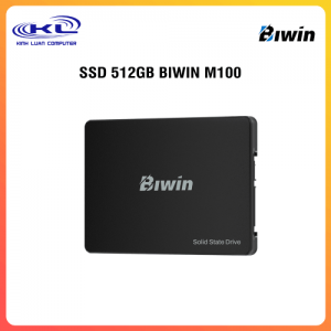 SSD 512GB BIWIN M100